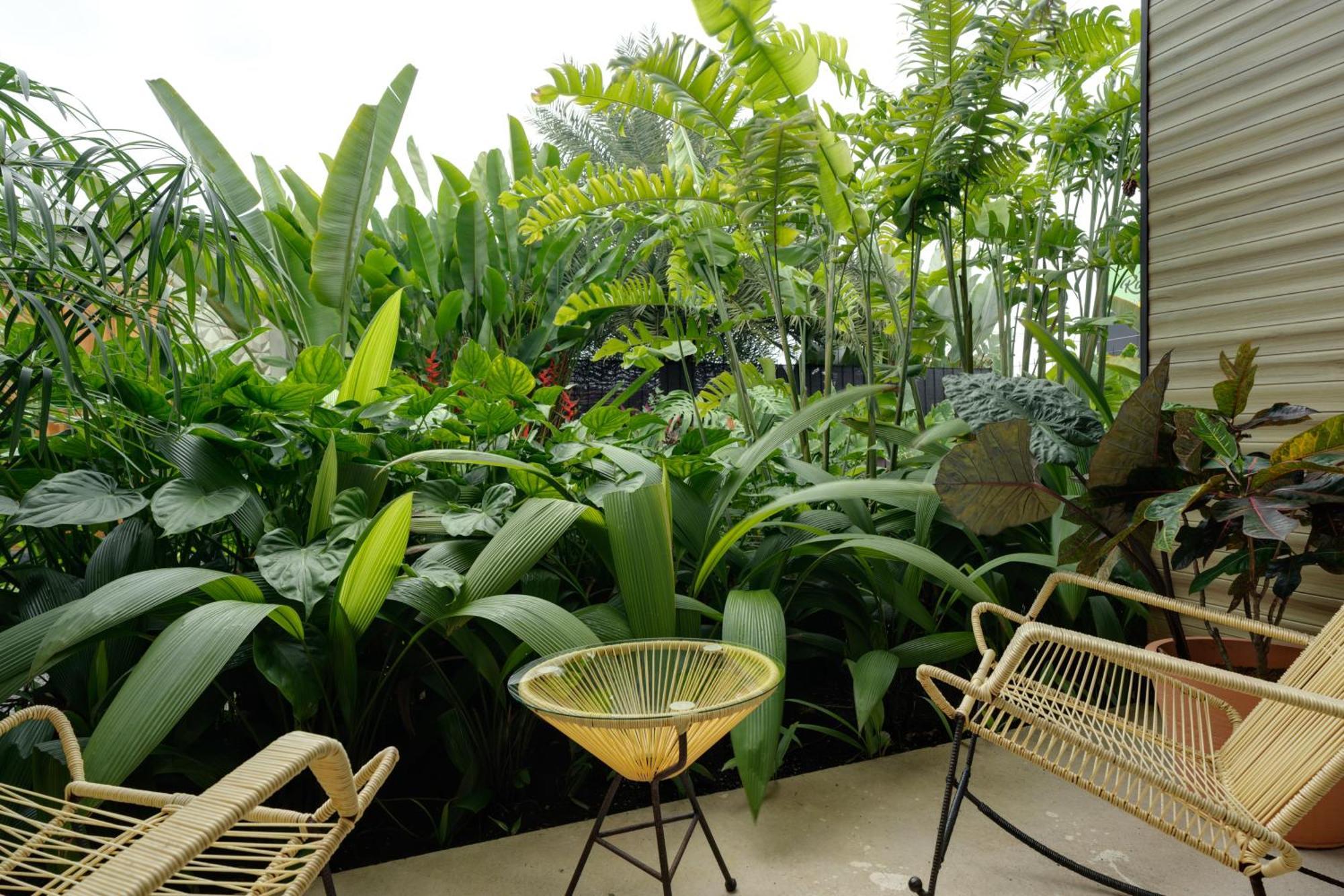 Suwa Villa Arenal La Fortuna 외부 사진